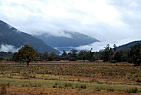 New Zealand - South Island / Foggy Landscape near Fox Glacier